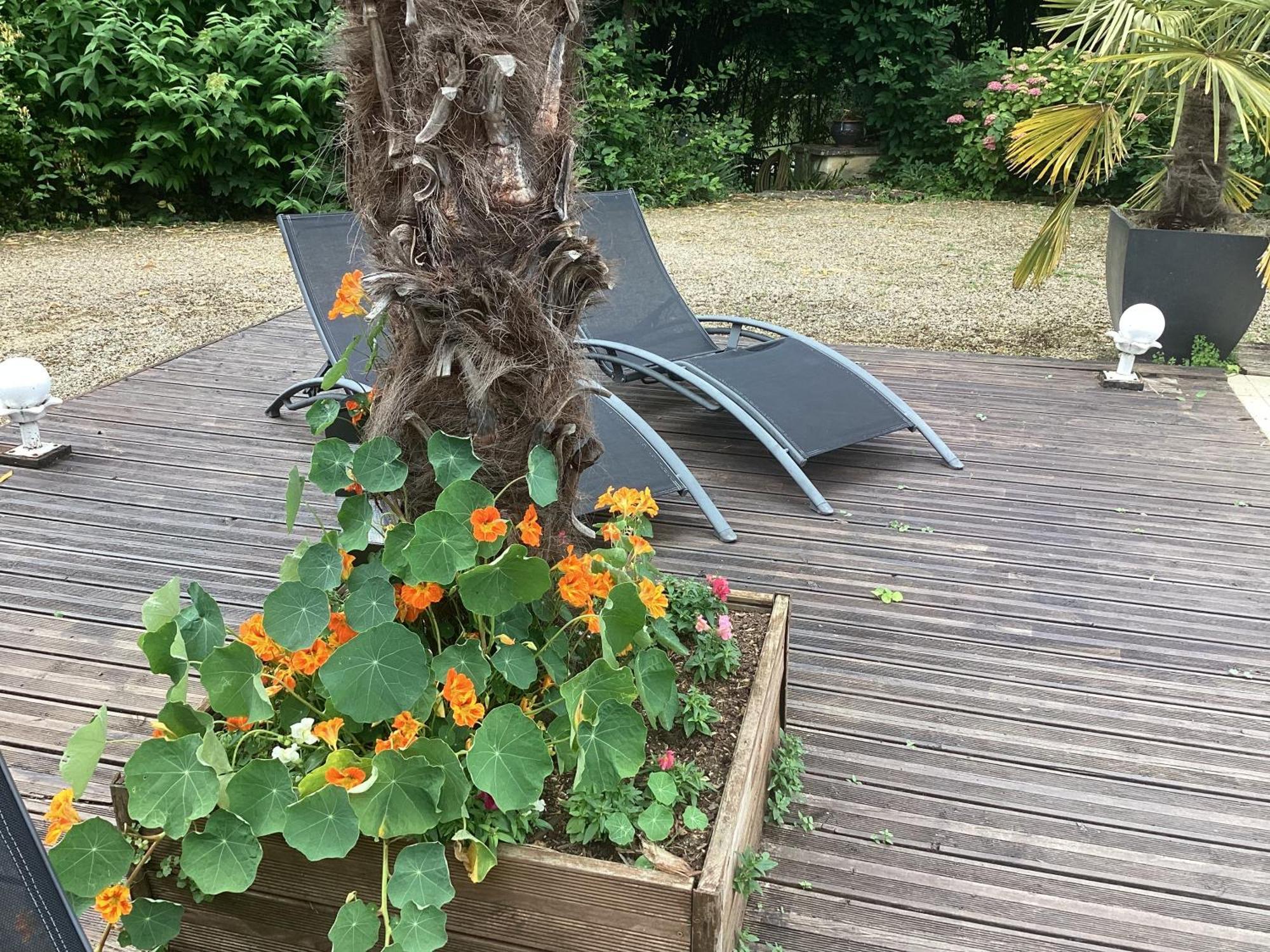 Le Lavoir Bed & Breakfast Châteauroux Eksteriør bilde