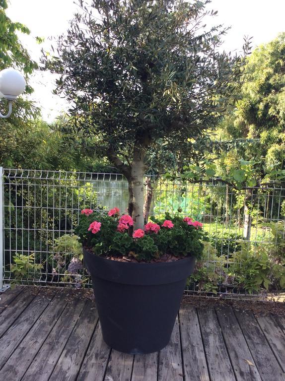 Le Lavoir Bed & Breakfast Châteauroux Eksteriør bilde